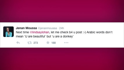 Lindsay Lohan Accidentally Calls Her Instagram Followers Donkeys