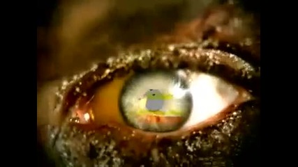 Slayer - Eyes Of The Insane video 
