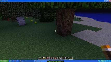Minecraft with Simexs ep.5