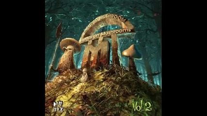 *2013* Infected Mushroom ft. Savant - Savant on mushrooms