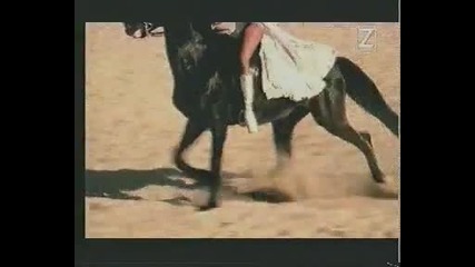 La Cream - Free - dance 90