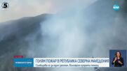Голям пожар гори в Крива Паланка