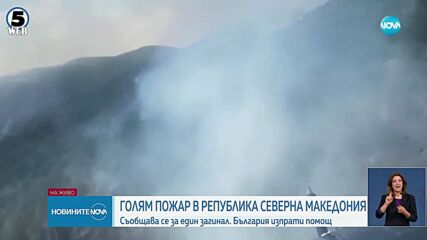 Голям пожар гори в Крива Паланка