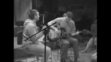 The Assistant - Live Acoustic