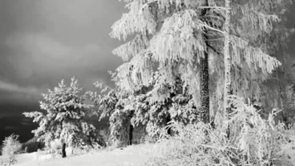 Northern Frost - Verlorene Freiheit