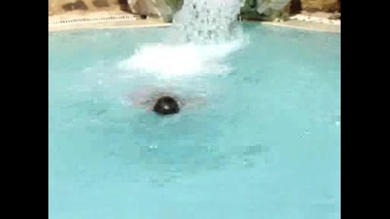 Коко На Водна Пързалка В Тунис - 4