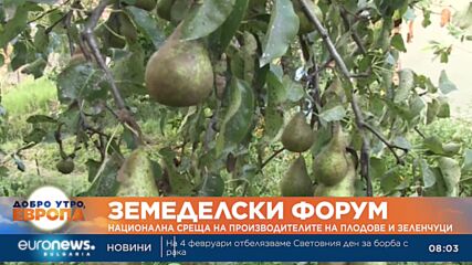 Производителите на плодове и зеленчуци се срещат с министъра на земеделието