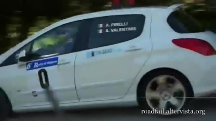 Rally Car Crash Compilation 2012