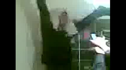 Видео000.3gp