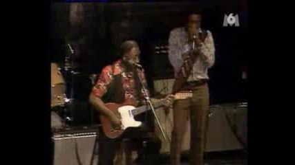 Muddy Waters - Im A King Bee
