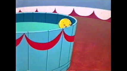 Tweety And Sylvester - Tweety's Circus