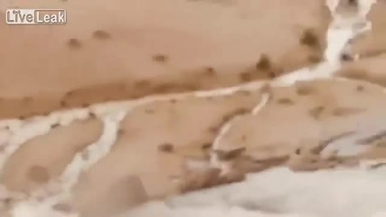 Река избива в пустинята