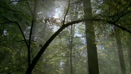 Planet Earth - Pole to Pole - part 2 