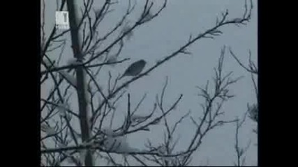 За животните с любов - 16 януари 2010