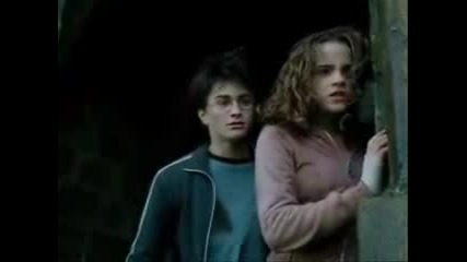 The Harry Potter Trio