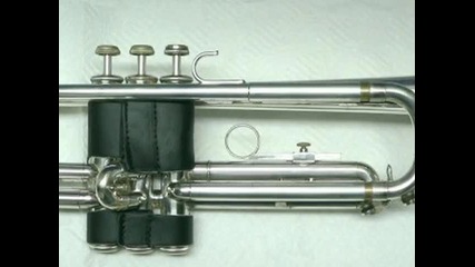 D Trumpet.wmv 