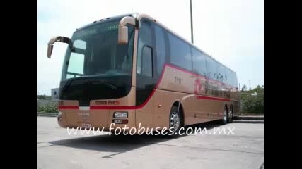 Autobuses Man