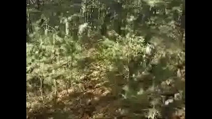 Жесток Trailer - (downhill, Dirt Jumps & Drift) 