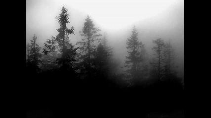 Slumber - Where Nothing Was Left