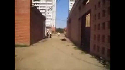 Неуспешен скок от сграда на сграда 