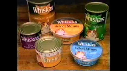 Whiskas Kitten Food - 1991