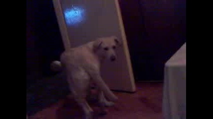 lea