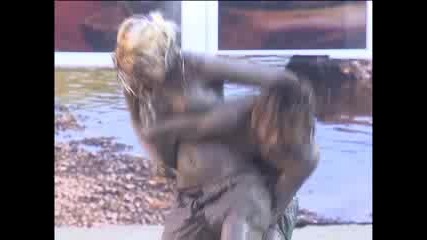 Калня Баня Big Brother 4.