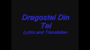 Dragostea Din Tei Lyrics and Translation
