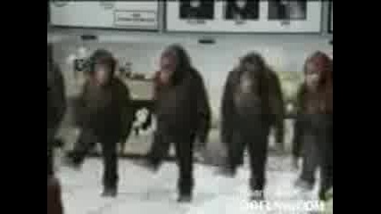 Monkeys River Dancing