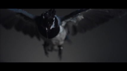 Drake feat. Rihanna - Take Care / Оfficial video /