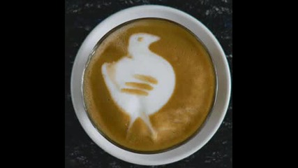 N.o.h.a. - Tu Cafe