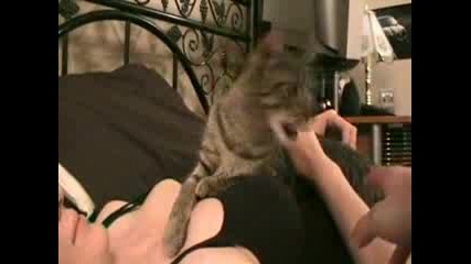 Котка Пази Гърдите На Стопанката Си