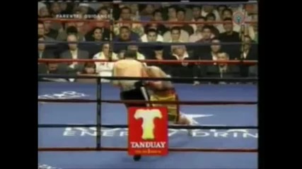 The Gazelle Punch 