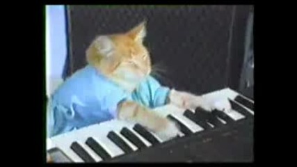 Keyboard Cat does The Shining