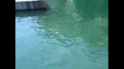 Болезнено падане във вода