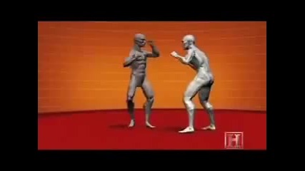 learn to fight in 5 min