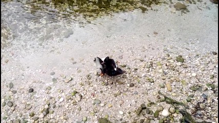Vid_20140504_090056