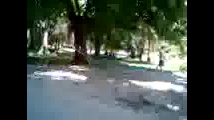 Dani Jump 2