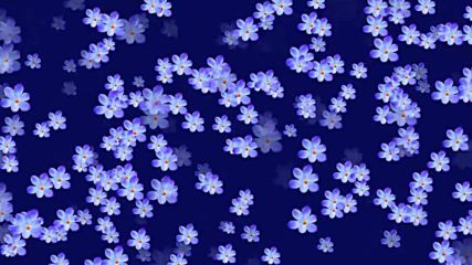 Невероятни сини цветя ... Music by Parijat ... ...