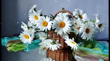 Красиви цветя за всички Вас... ...(music Ernesto Cortazar)... ...