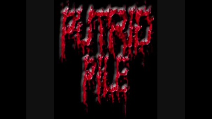 Putrid Pile - Remnants of Insanity