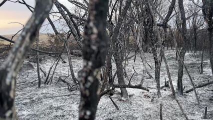 Пожарът, който пламна край Костинброд, е овладян