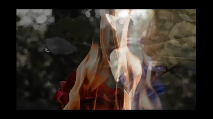 Burning Love - Elvis Presley - (1972)