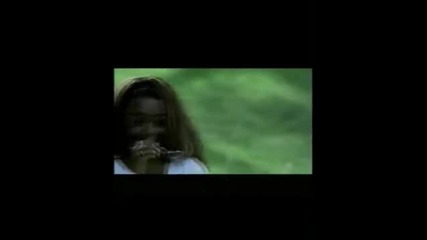2 - 4 Family - Stay