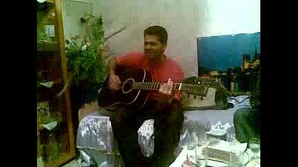 Mis 2010 