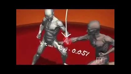 Human Weapon - Karate Punch Blocking 