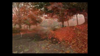 Leaves In The Wind - Ernesto Cortazar