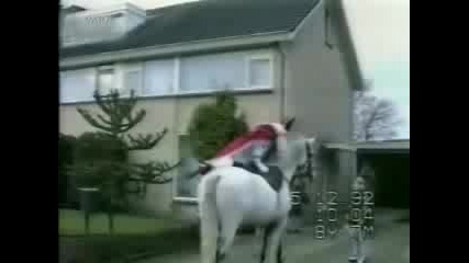 Santa - Claus Mix