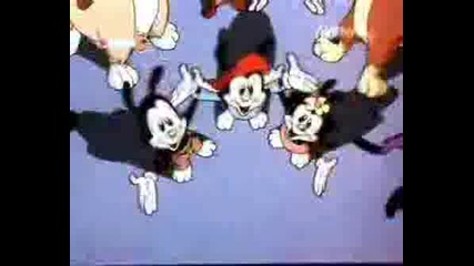 Crazy Animaniacs
