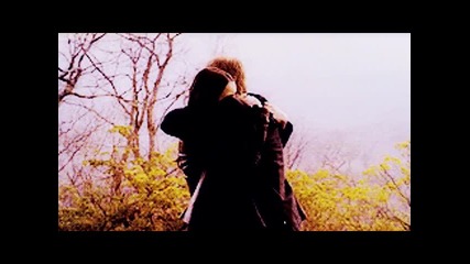 Stefan & Elena "stefan I Love You"